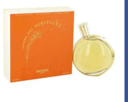 L'Ambre des Merveilles